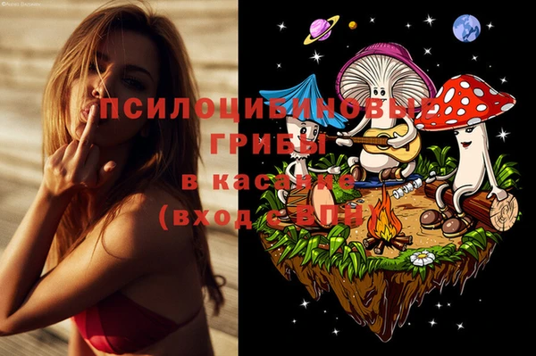 марки nbome Ельня