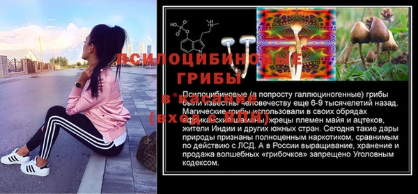 марки nbome Ельня