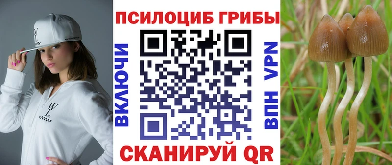 Псилоцибиновые грибы Psilocybe  blacksprut tor  Астрахань 