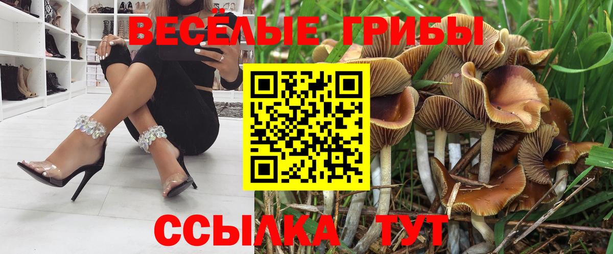 Псилоцибиновые грибы Magic Shrooms Астрахань