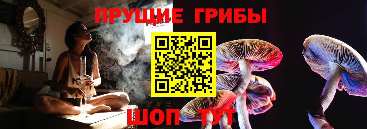 Астрахань  Галлюциногенные грибы Psilocybe  Вход с VPN  Псилоцибиновые грибы Magic Shrooms 