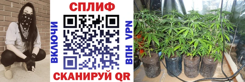 Бошки Шишки план  Астрахань 