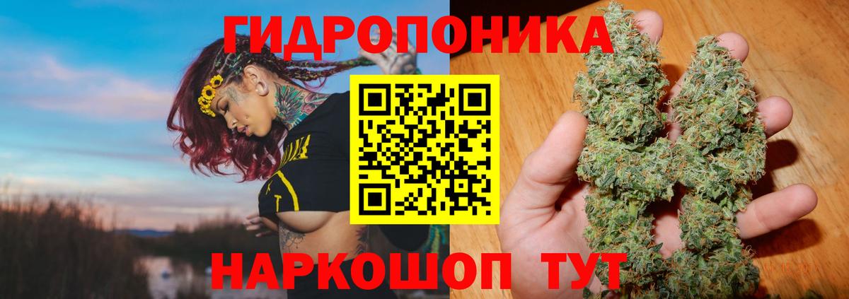 Канабис ГИДРОПОН Астрахань